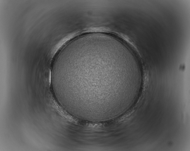 X0000115641221200911241703