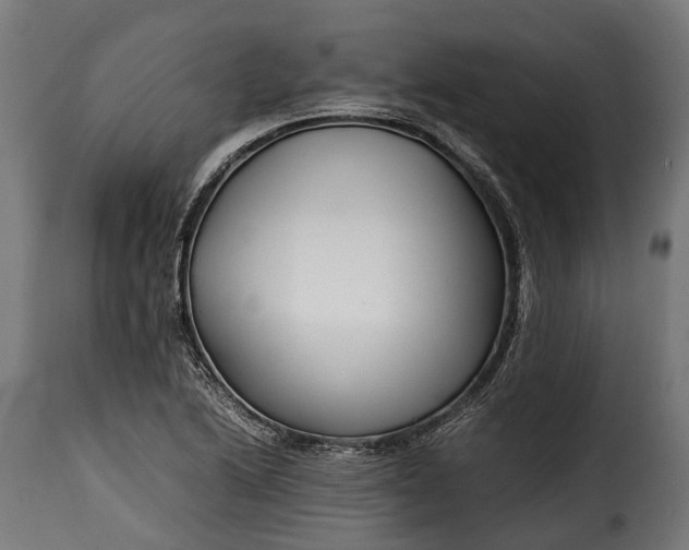 X0000115641222200911241703