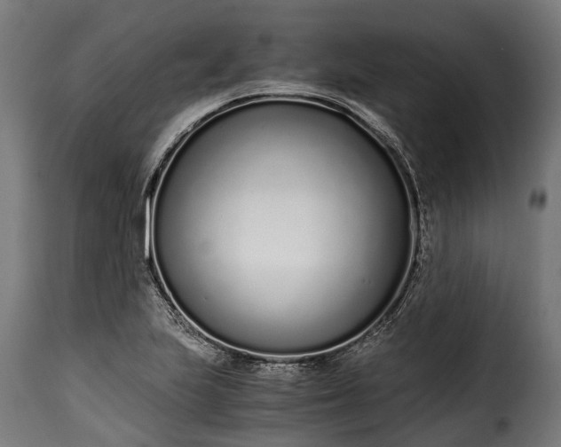 X0000115641223200911241703