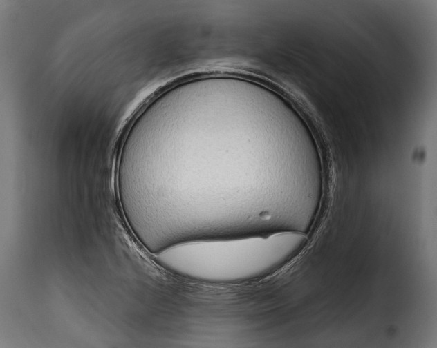 X0000115641224200911241703