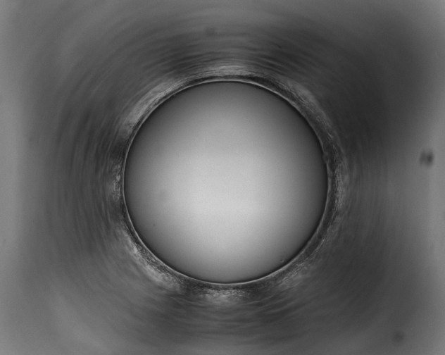 X0000115641225200911241703