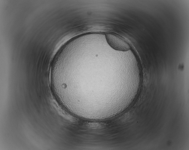 X0000115641227200911241703