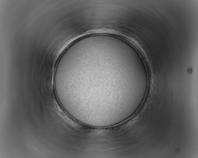 X0000115641228200911241703