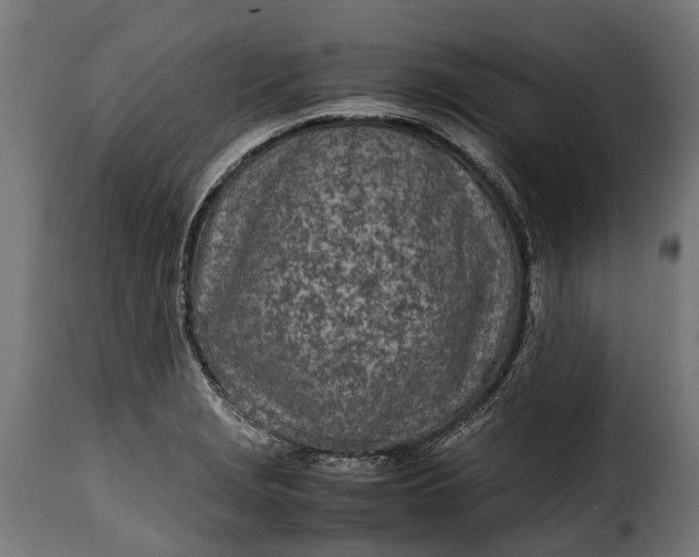 X0000115641229200911241703