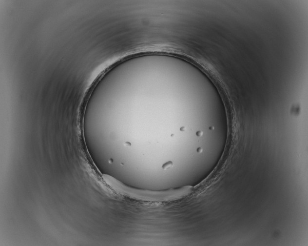 X0000115641230200911241703