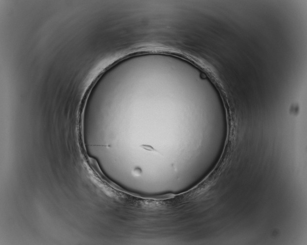 X0000115641231200911241703