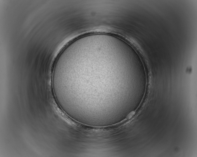 X0000115641232200911241703