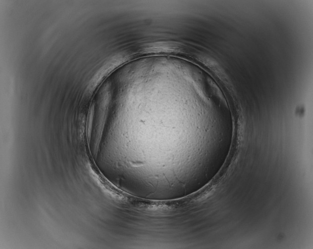 X0000115641233200911241703