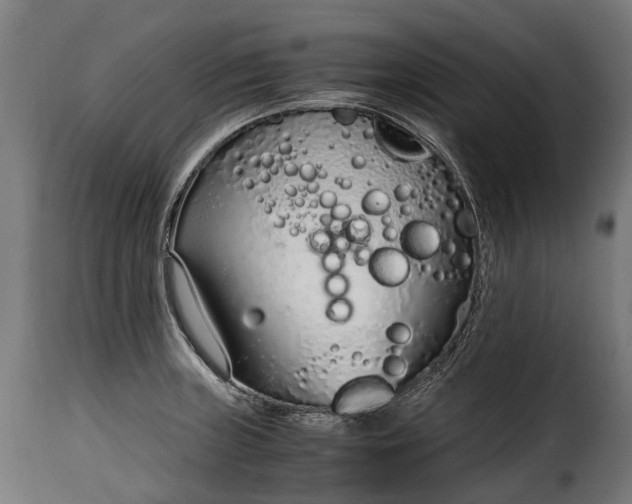 X0000115641235200911241703