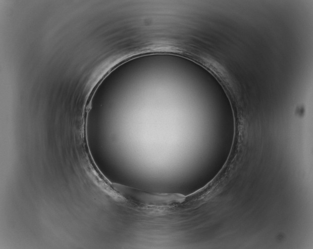 X0000115641236200911241703