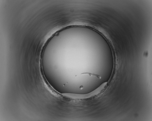 X0000115641237200911241703