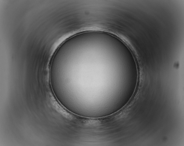 X0000115641238200911241703