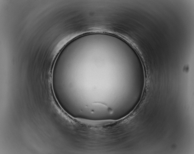 X0000115641239200911241703