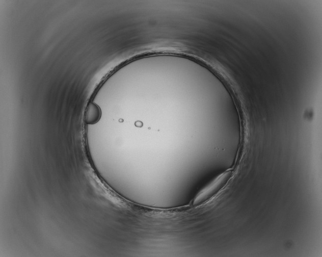 X0000115641240200911241703