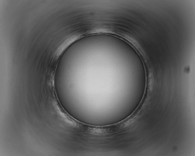 X0000115641241200911241703