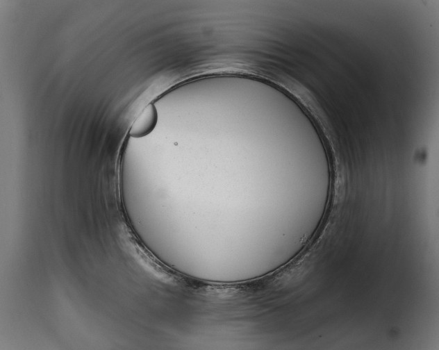 X0000115641242200911241703