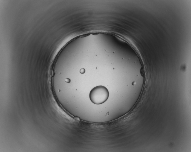 X0000115641243200911241703