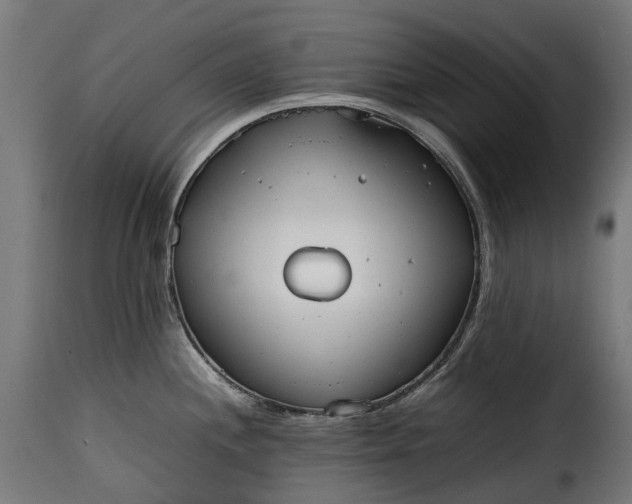 X0000115641244200911241703