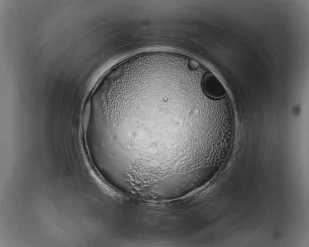 X0000115641245200911241703