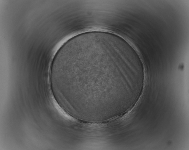 X0000115641246200911241703