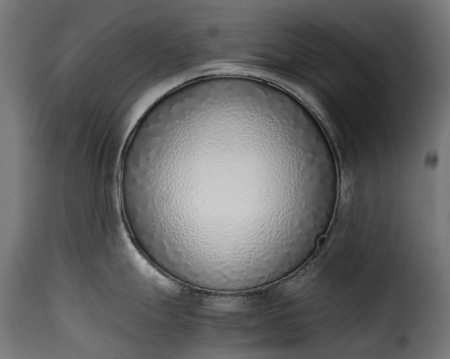 X0000115641247200911241703