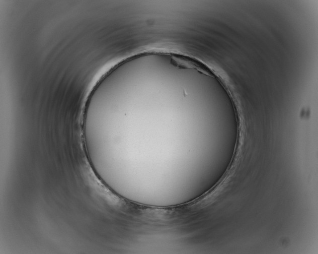 X0000115641248200911241703