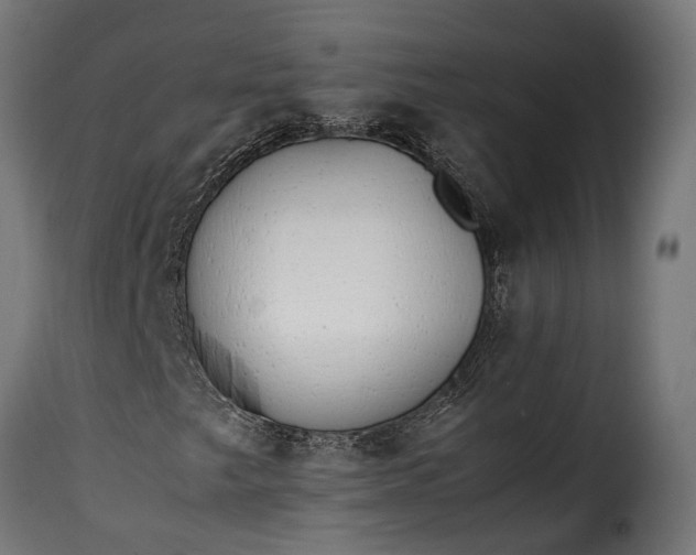 X0000115641249200911241702