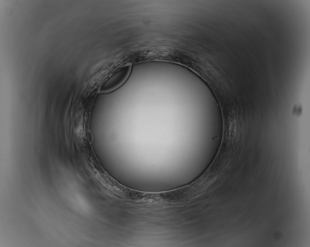 X0000115641250200911241702