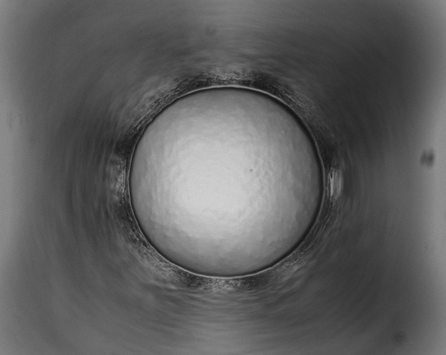 X0000115641251200911241702