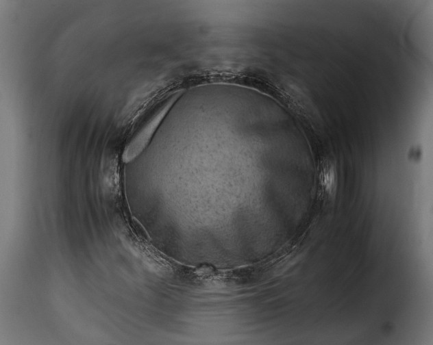 X0000115641252200911241702