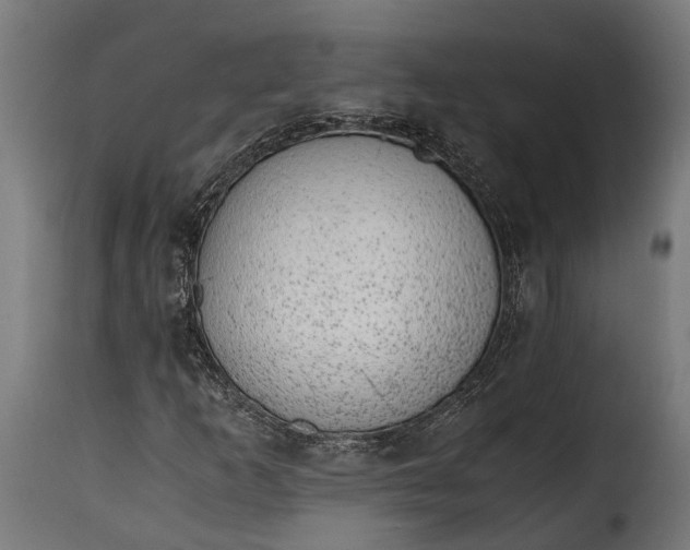 X0000115641253200911241702