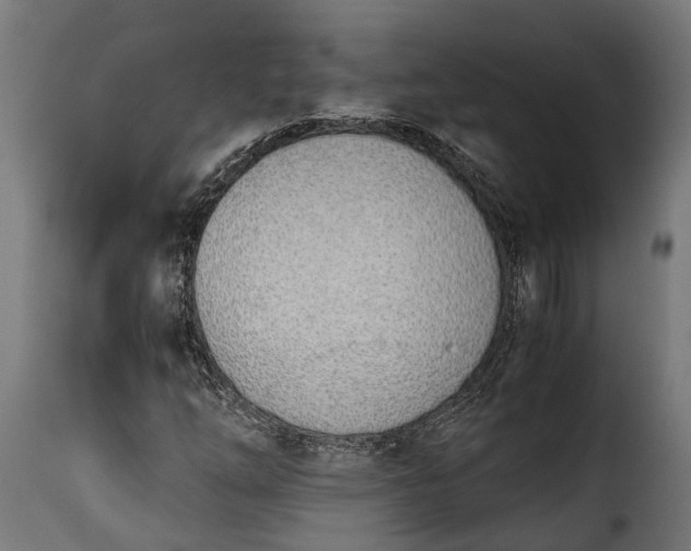 X0000115641254200911241702