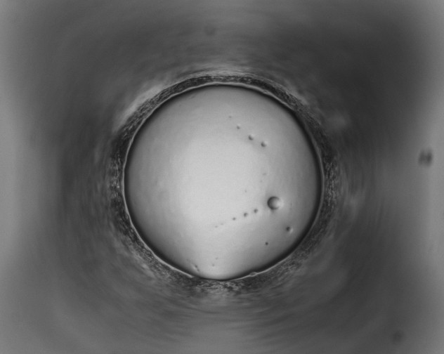 X0000115641255200911241702