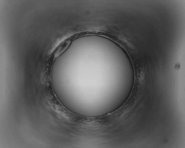 X0000115641256200911241702