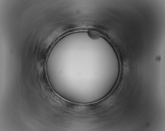 X0000115641257200911241702