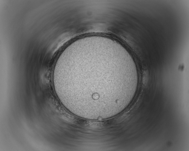 X0000115641258200911241702