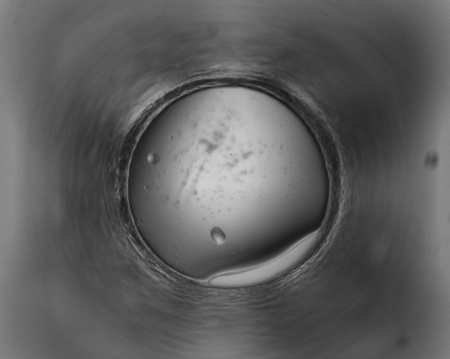 X0000115641259200911241702