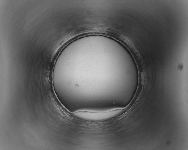 X0000115641260200911241702