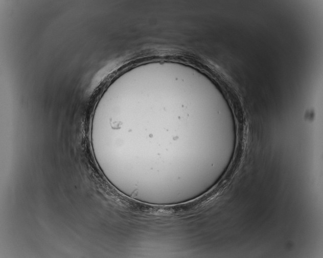 X0000115641261200911241702