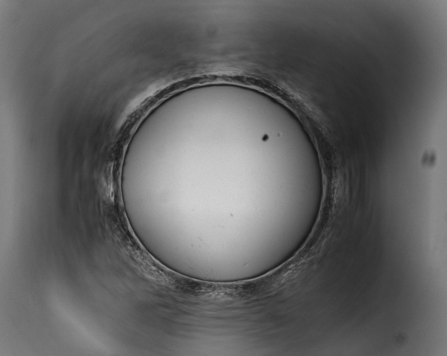 X0000115641262200911241702