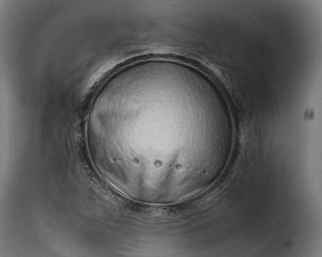 X0000115641263200911241702