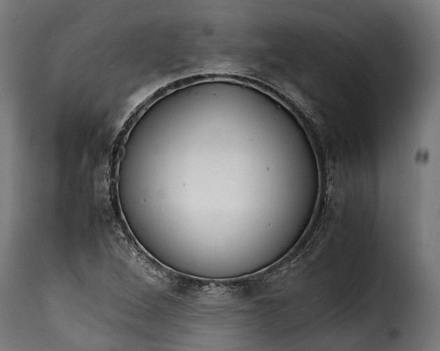 X0000115641264200911241702