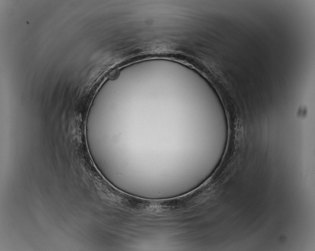 X0000115641265200911241702