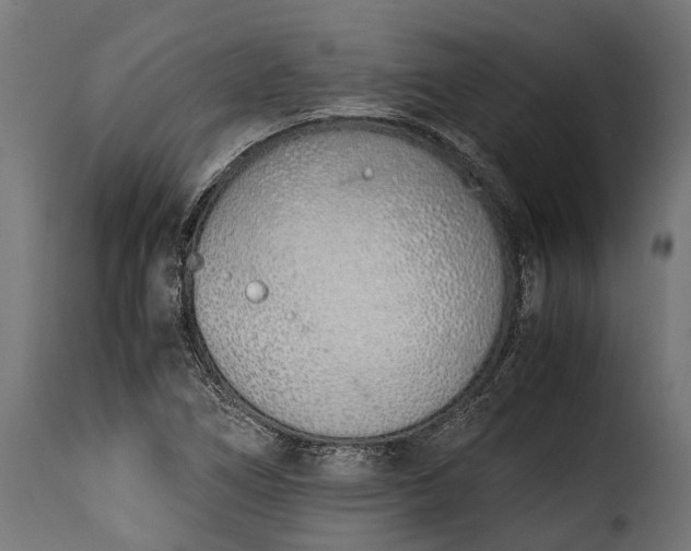 X0000115641266200911241702