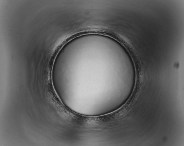 X0000115641267200911241702