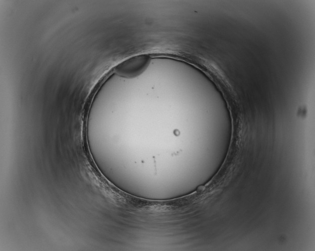 X0000115641268200911241702