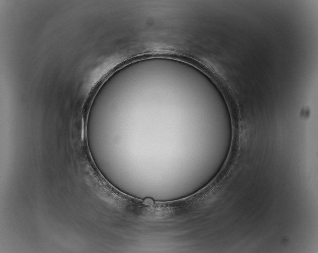 X0000115641269200911241702