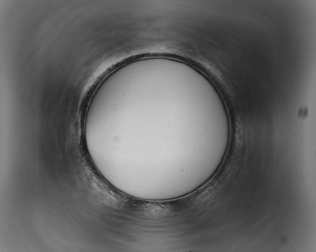 X0000115641270200911241702