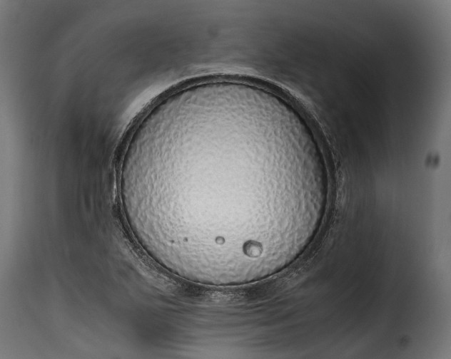 X0000115641271200911241702