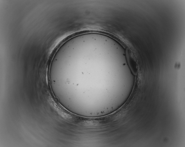 X0000115641272200911241702